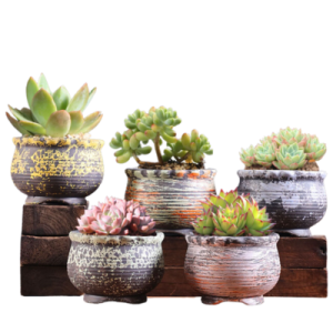 Small Ceramic Plant Pots | Assorted Colors
